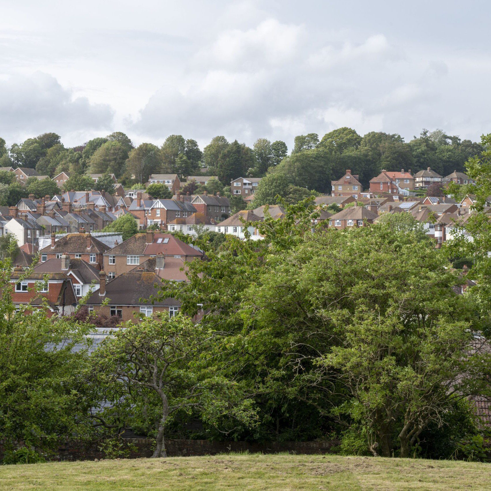 ACI | a wide angle image of the surrounding views in Hastings